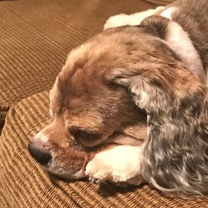 Meet your Posher, Jenna